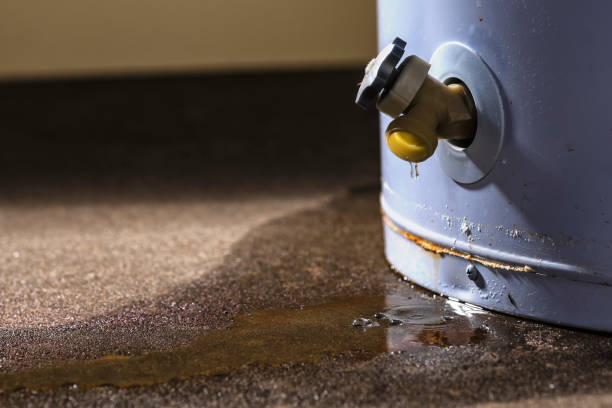 Best Basement water damage restoration  in Ethete, WY