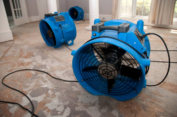 Best Ceiling water damage repair  in Ethete, WY