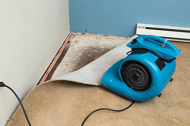 Best Commercial water damage restoration  in Ethete, WY